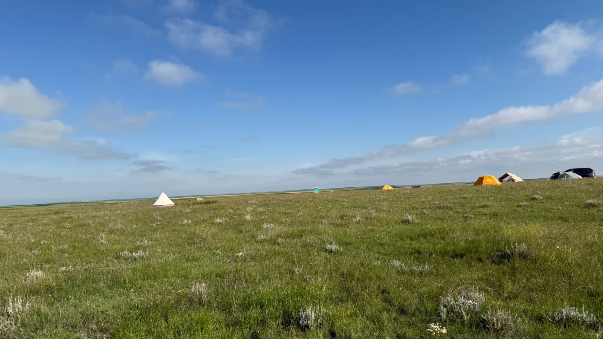 Frost Science Digging Expeditions July 2026 - August Science Story Images6 Frost Science Digging Expeditions July 2026 - August Science Story Images6